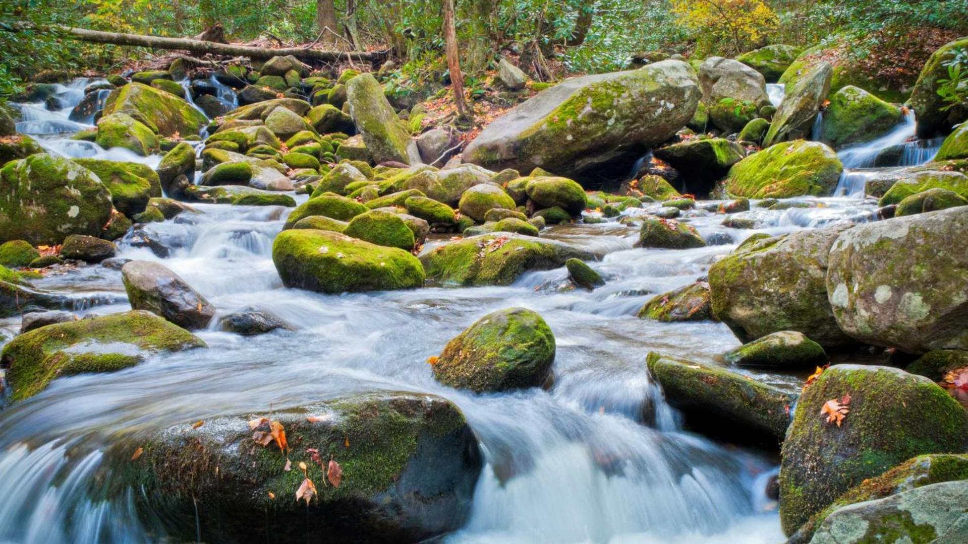 Little Smoky Retreat , 3 Bedroom , Close To Downtown Gatlinburg And Pigeon Forge Exterior photo